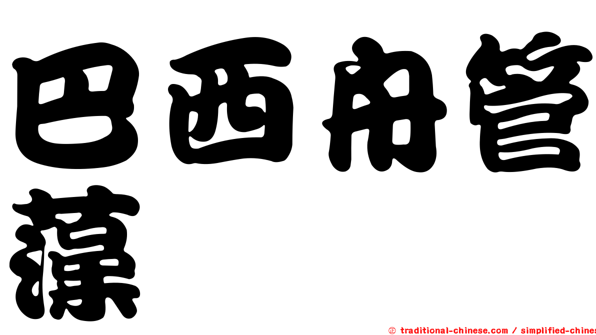 巴西舟管藻