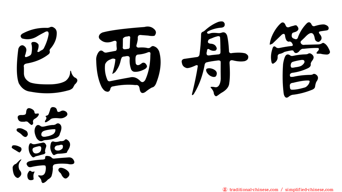 巴西舟管藻