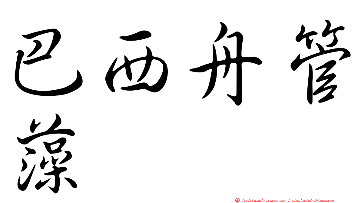 巴西舟管藻