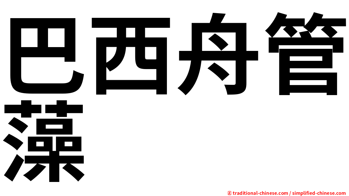巴西舟管藻