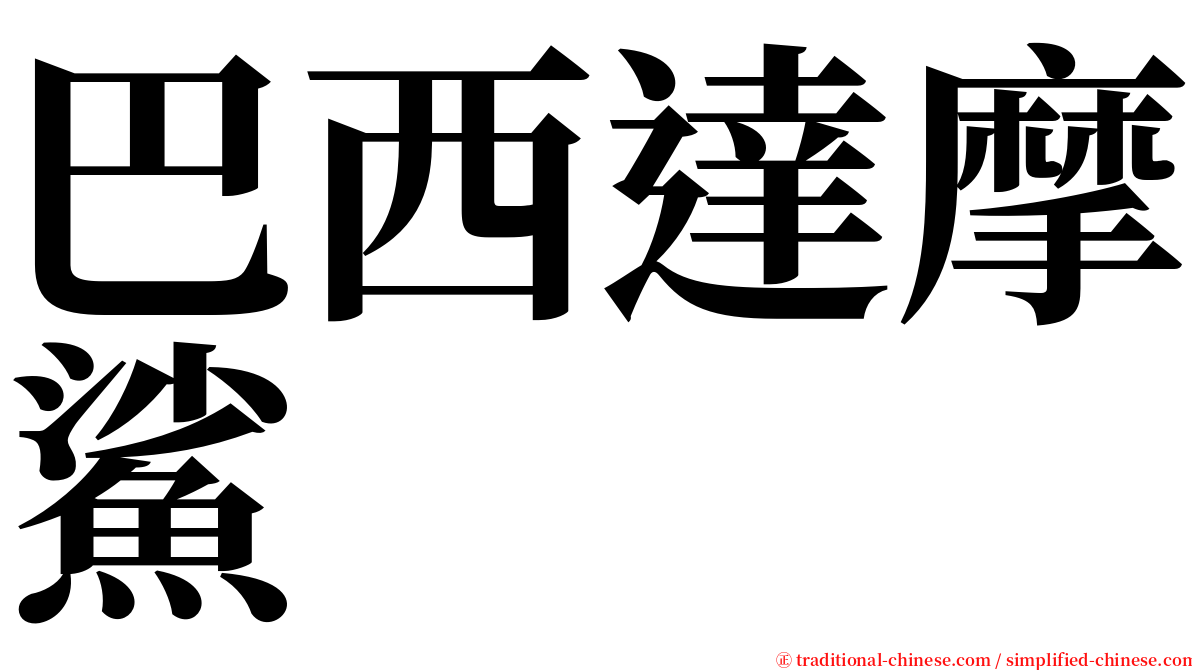 巴西達摩鯊 serif font