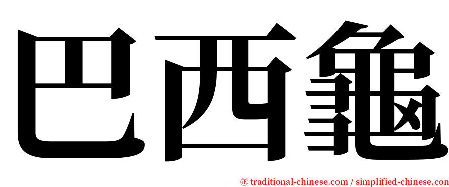 巴西龜 serif font