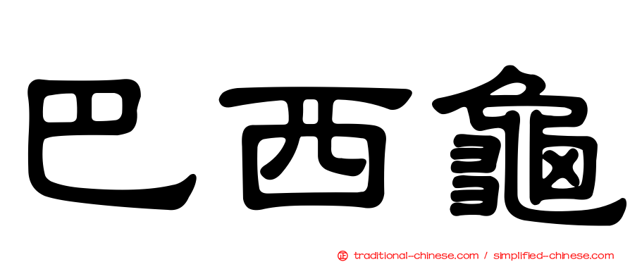 巴西龜