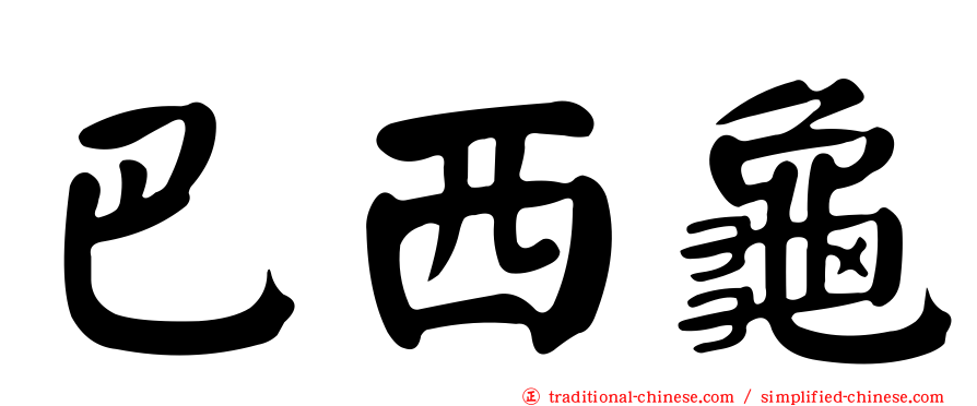 巴西龜