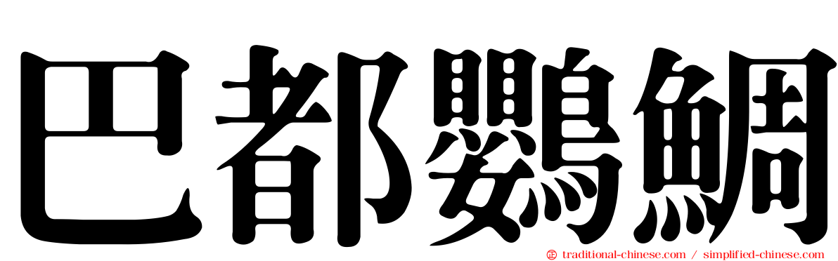 巴都鸚鯛
