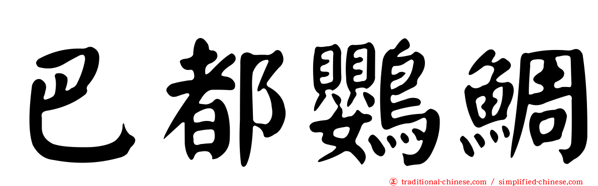 巴都鸚鯛