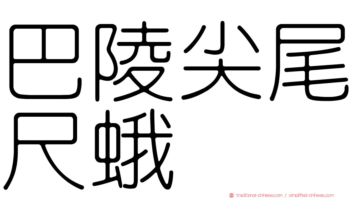 巴陵尖尾尺蛾
