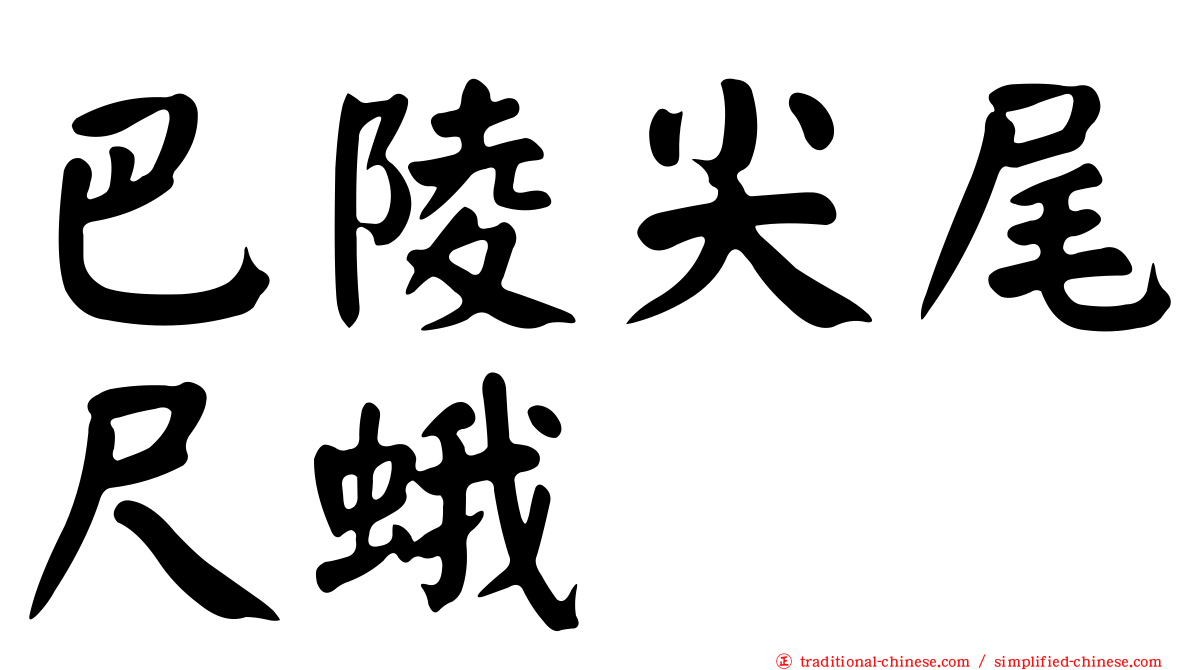 巴陵尖尾尺蛾