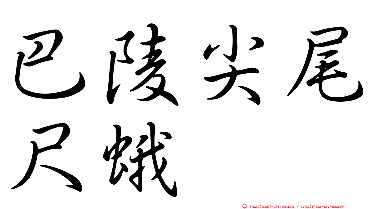 巴陵尖尾尺蛾