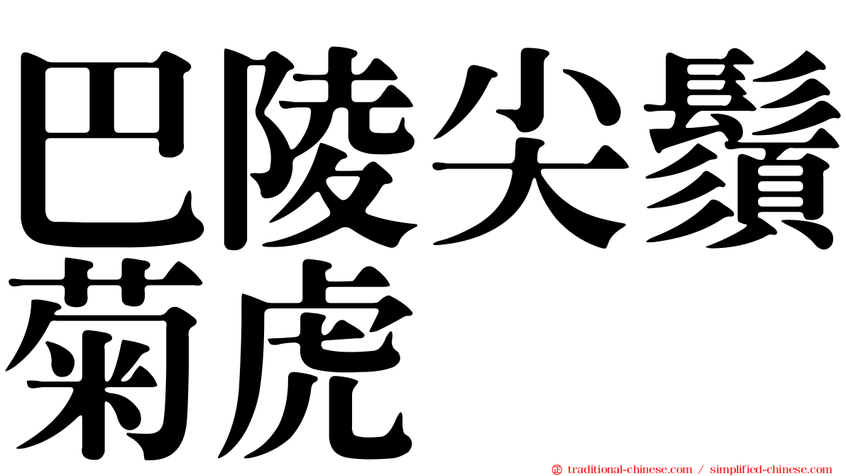 巴陵尖鬚菊虎