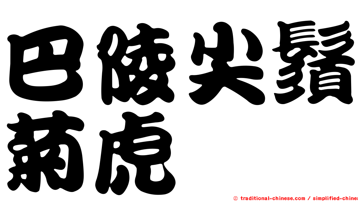 巴陵尖鬚菊虎