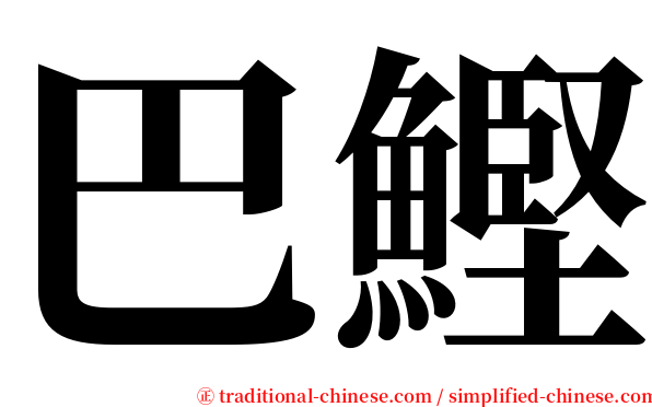 巴鰹 serif font