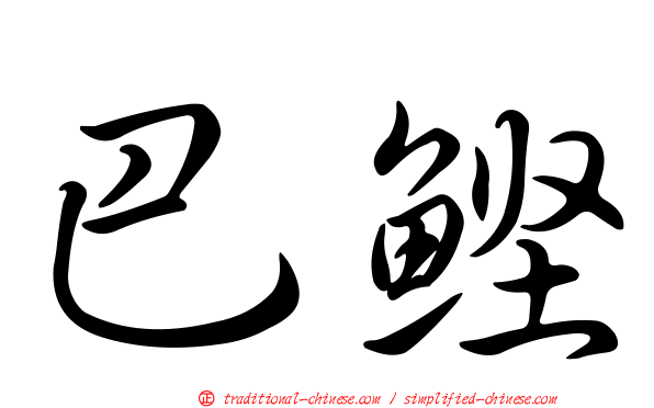 巴鰹