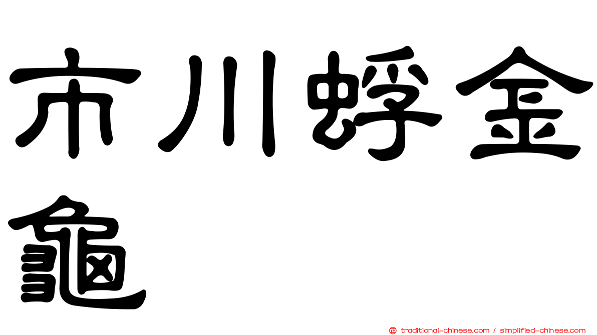 市川蜉金龜