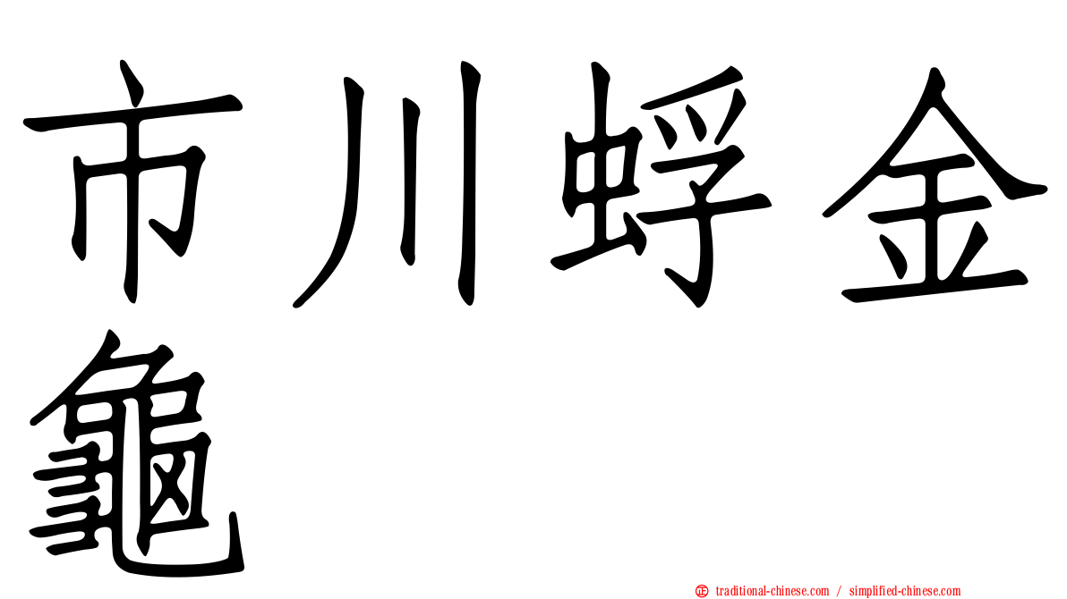 市川蜉金龜