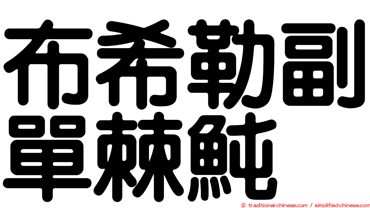 布希勒副單棘魨