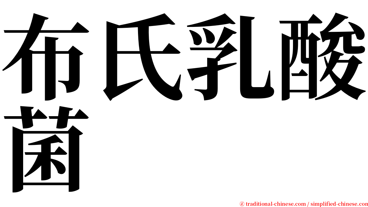 布氏乳酸菌 serif font