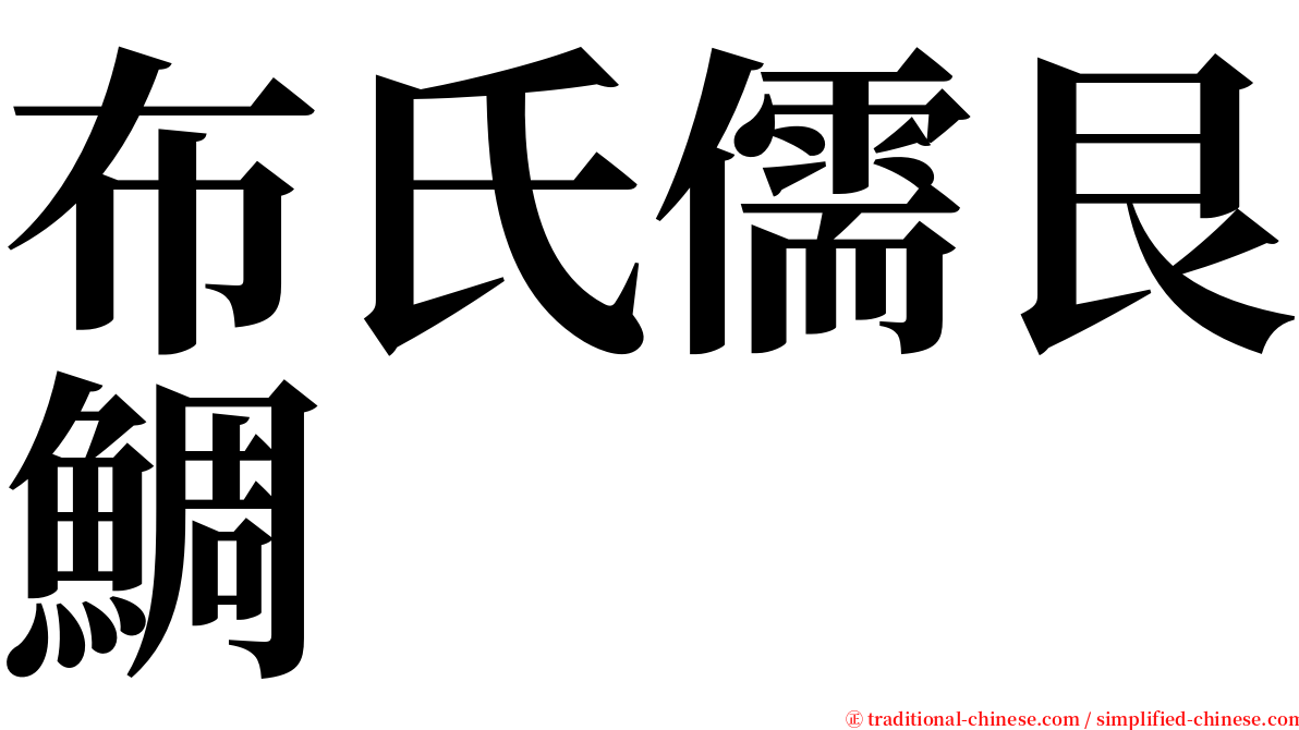 布氏儒艮鯛 serif font