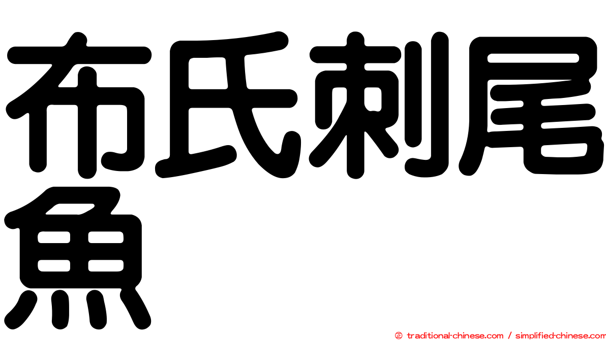布氏刺尾魚