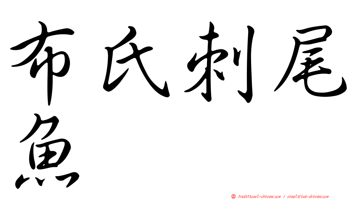 布氏刺尾魚