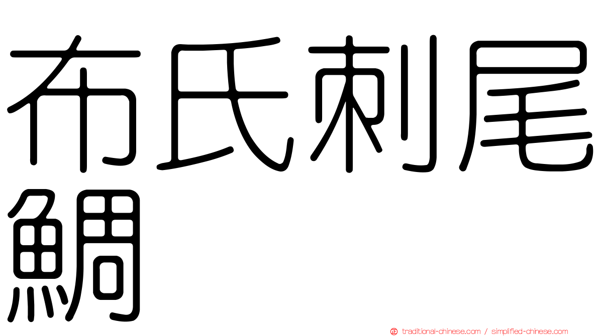 布氏刺尾鯛