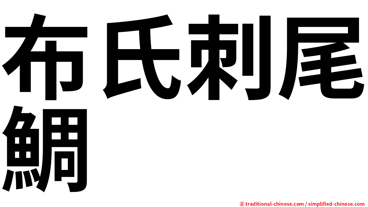 布氏刺尾鯛