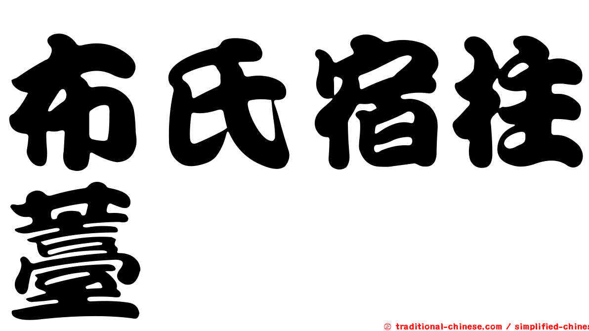 布氏宿柱薹