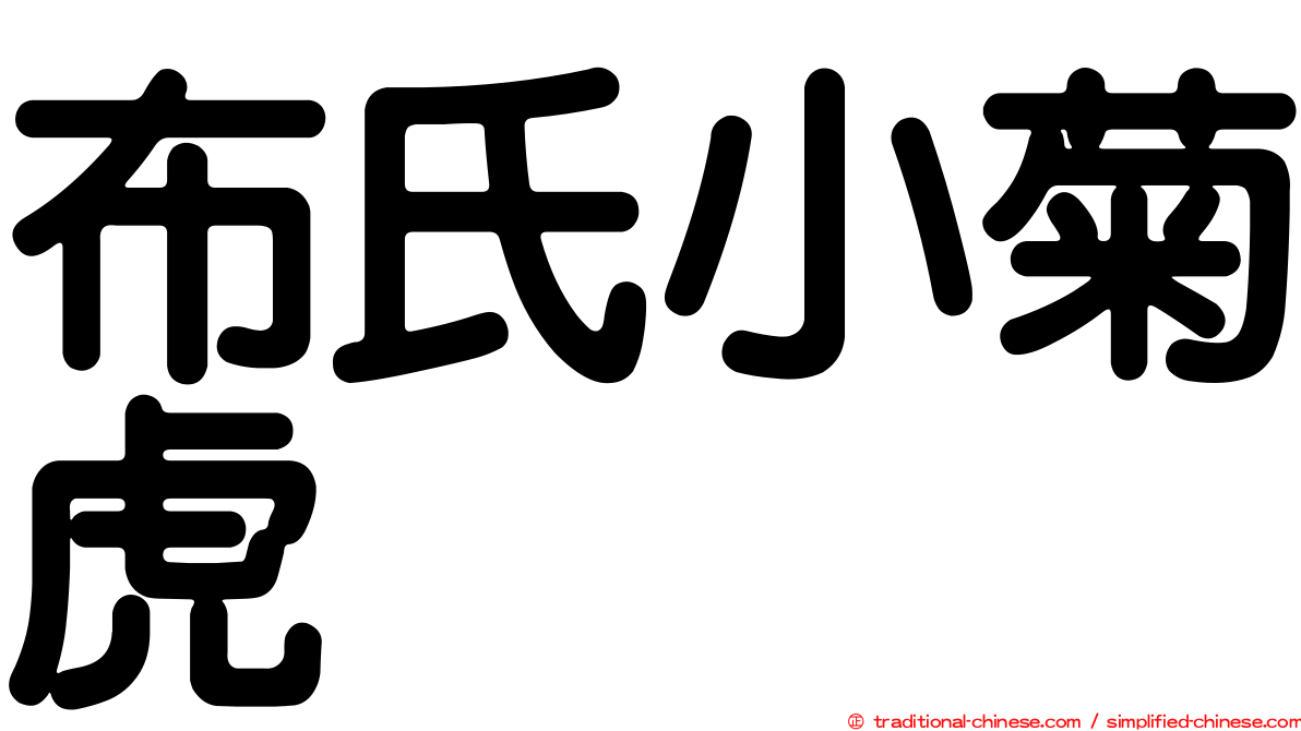 布氏小菊虎