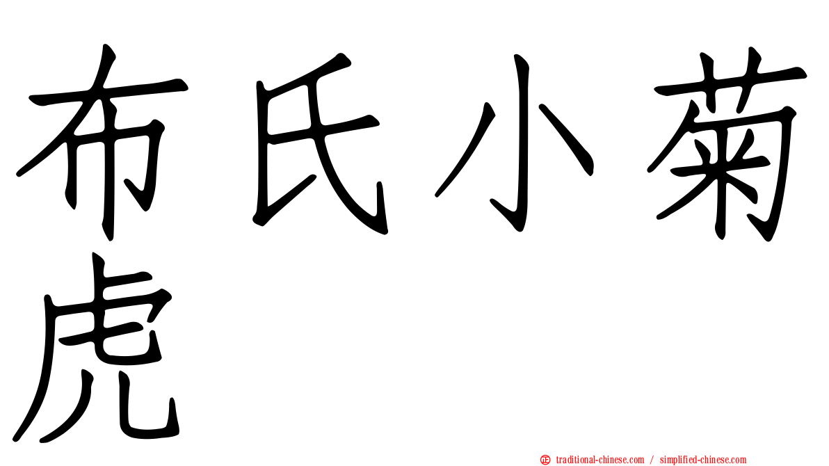 布氏小菊虎