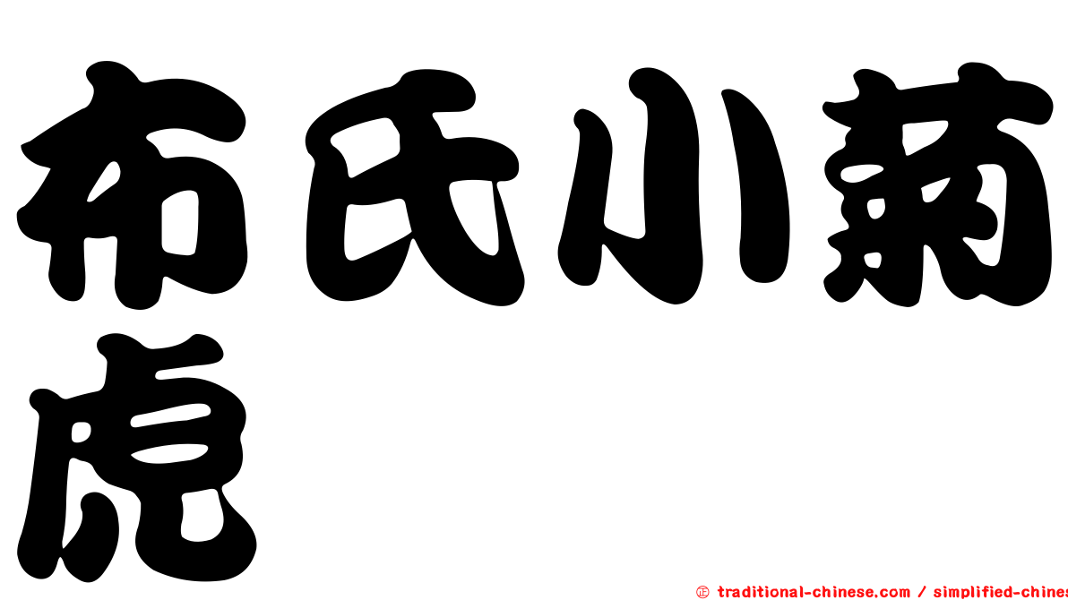 布氏小菊虎