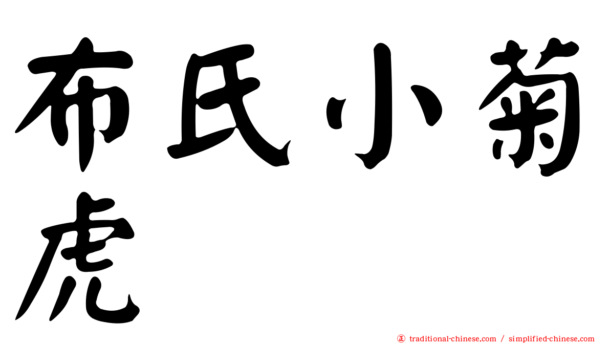 布氏小菊虎