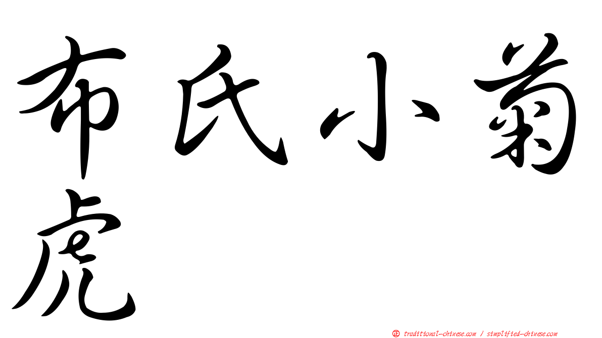 布氏小菊虎