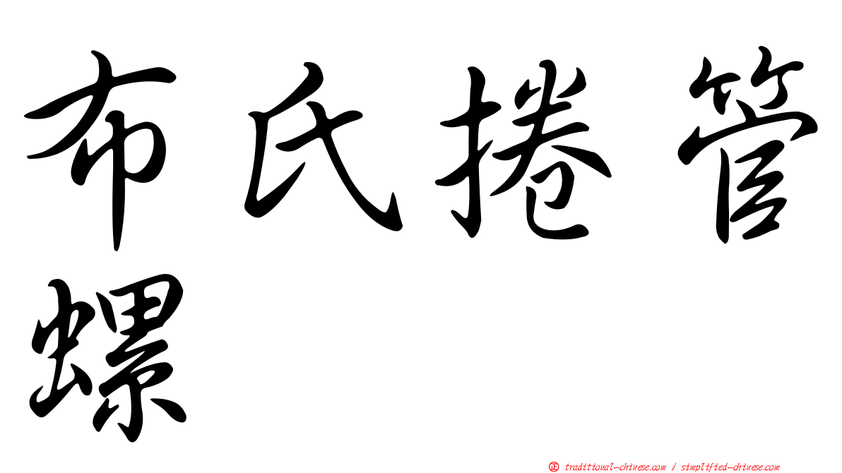 布氏捲管螺