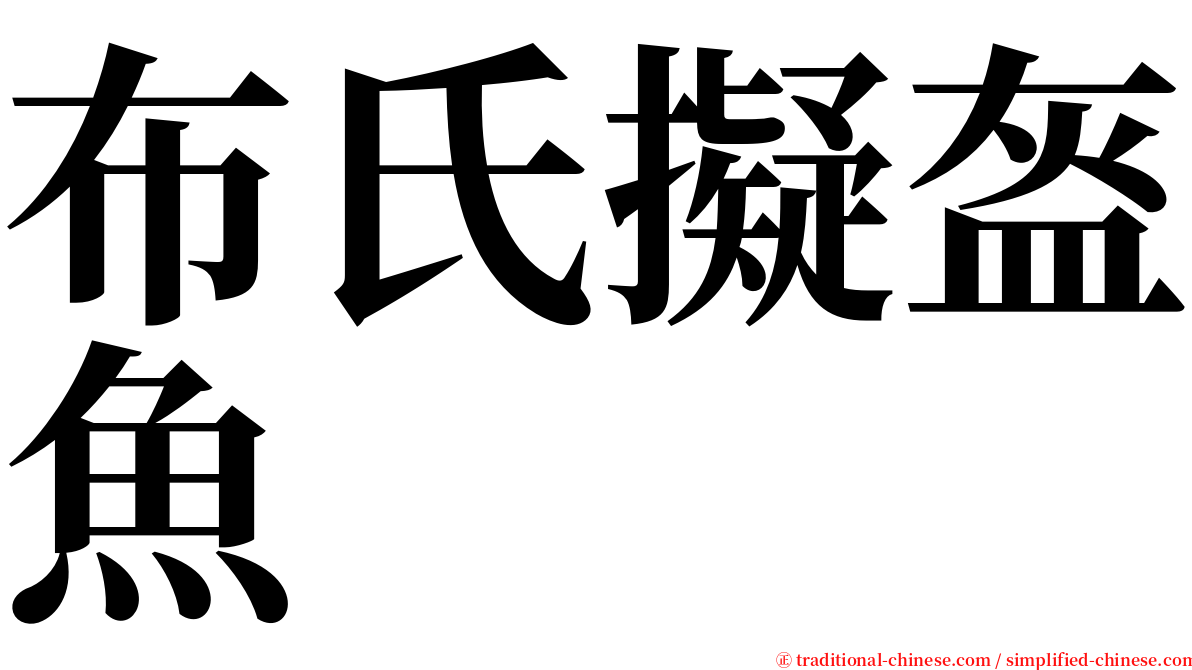 布氏擬盔魚 serif font