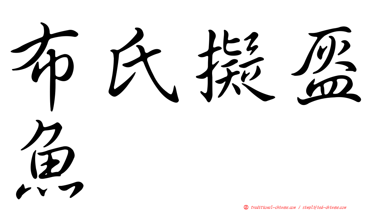 布氏擬盔魚