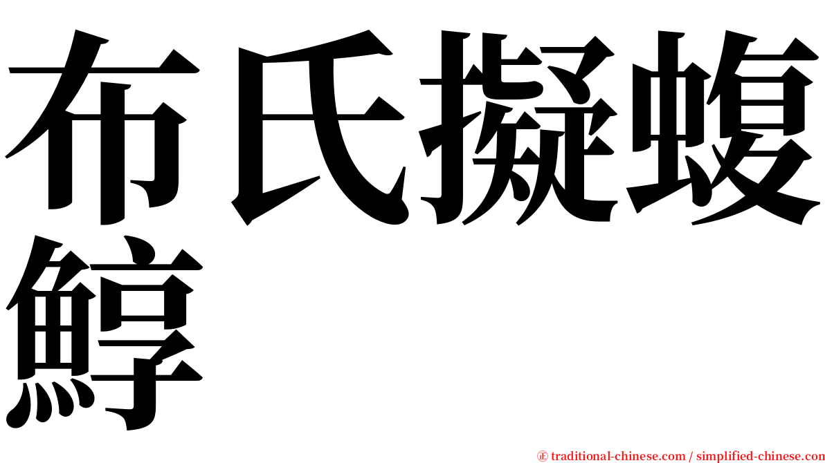 布氏擬蝮鯙 serif font