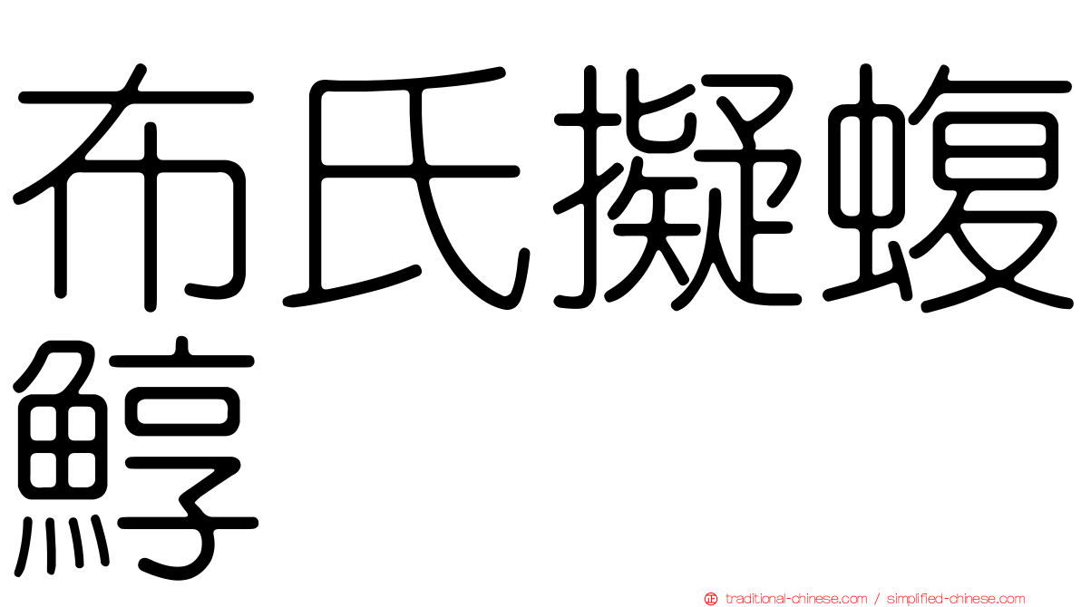 布氏擬蝮鯙