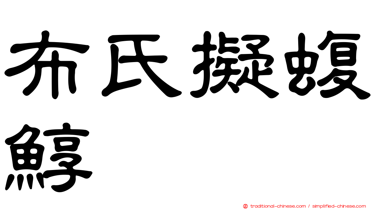 布氏擬蝮鯙