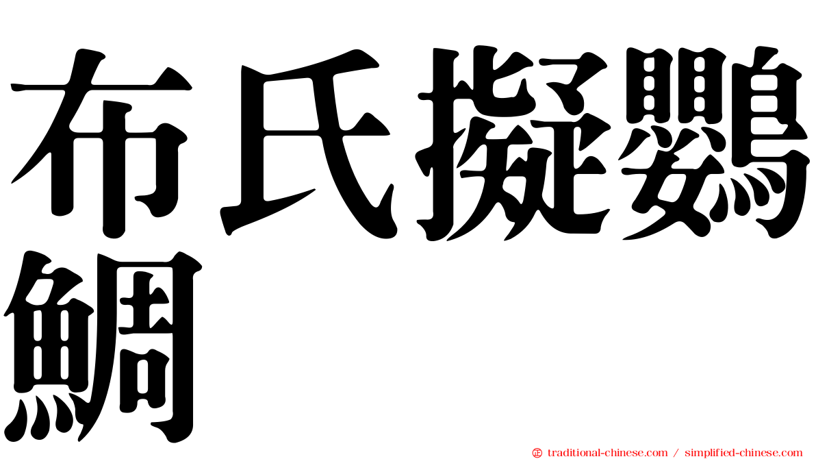 布氏擬鸚鯛