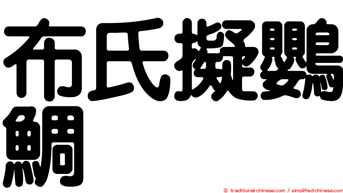 布氏擬鸚鯛
