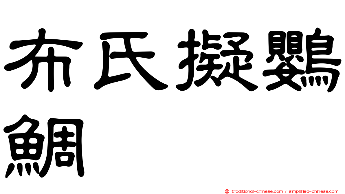 布氏擬鸚鯛