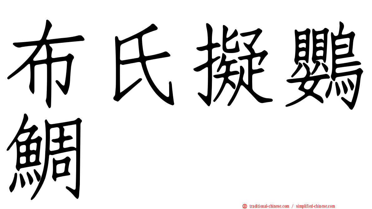 布氏擬鸚鯛