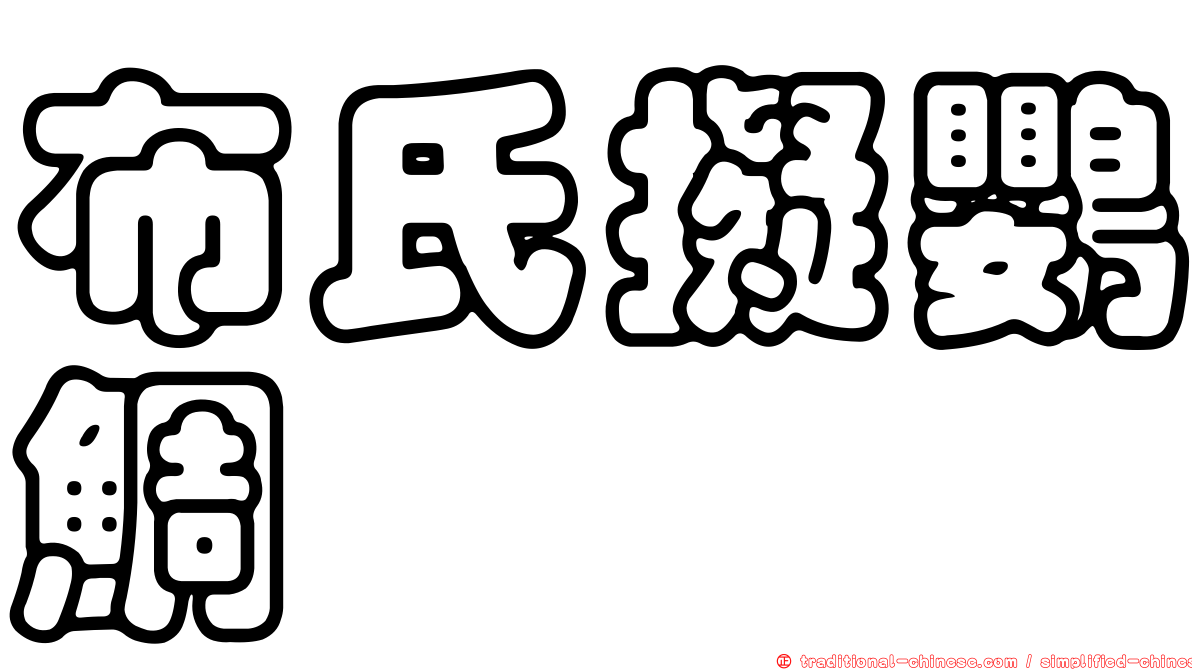 布氏擬鸚鯛
