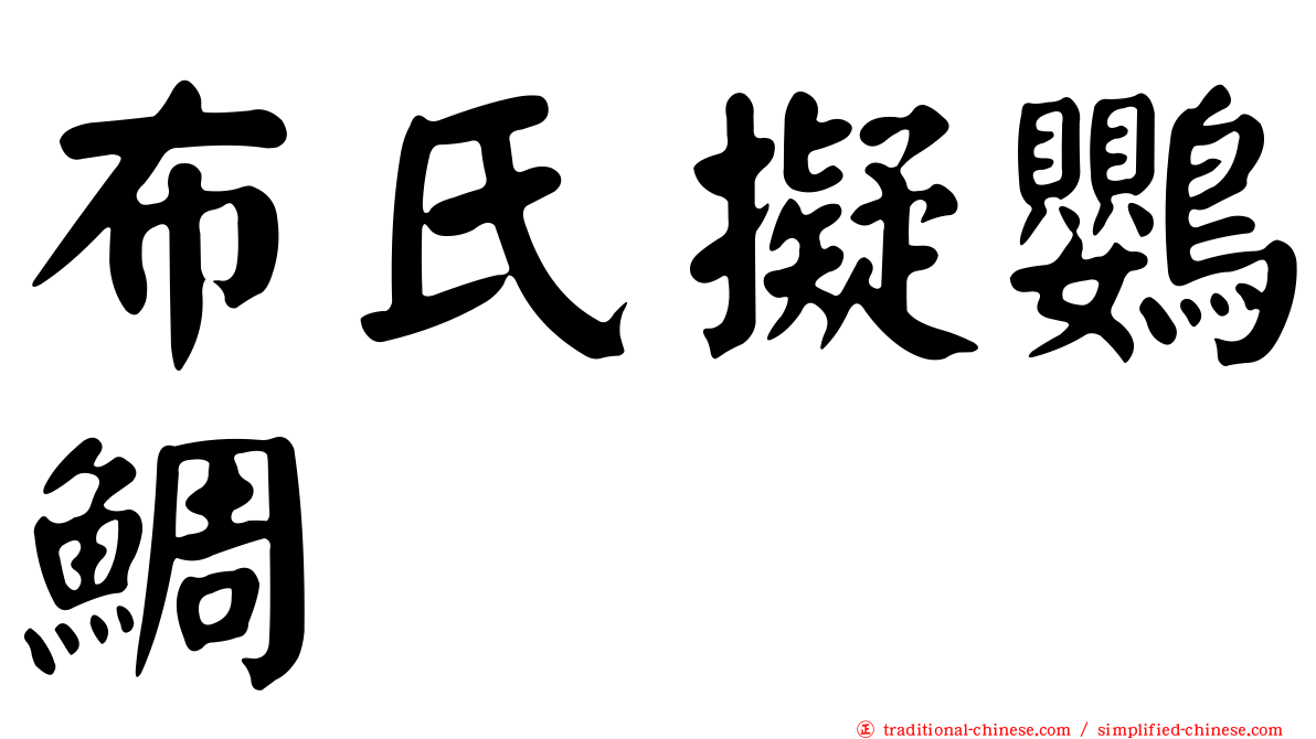 布氏擬鸚鯛