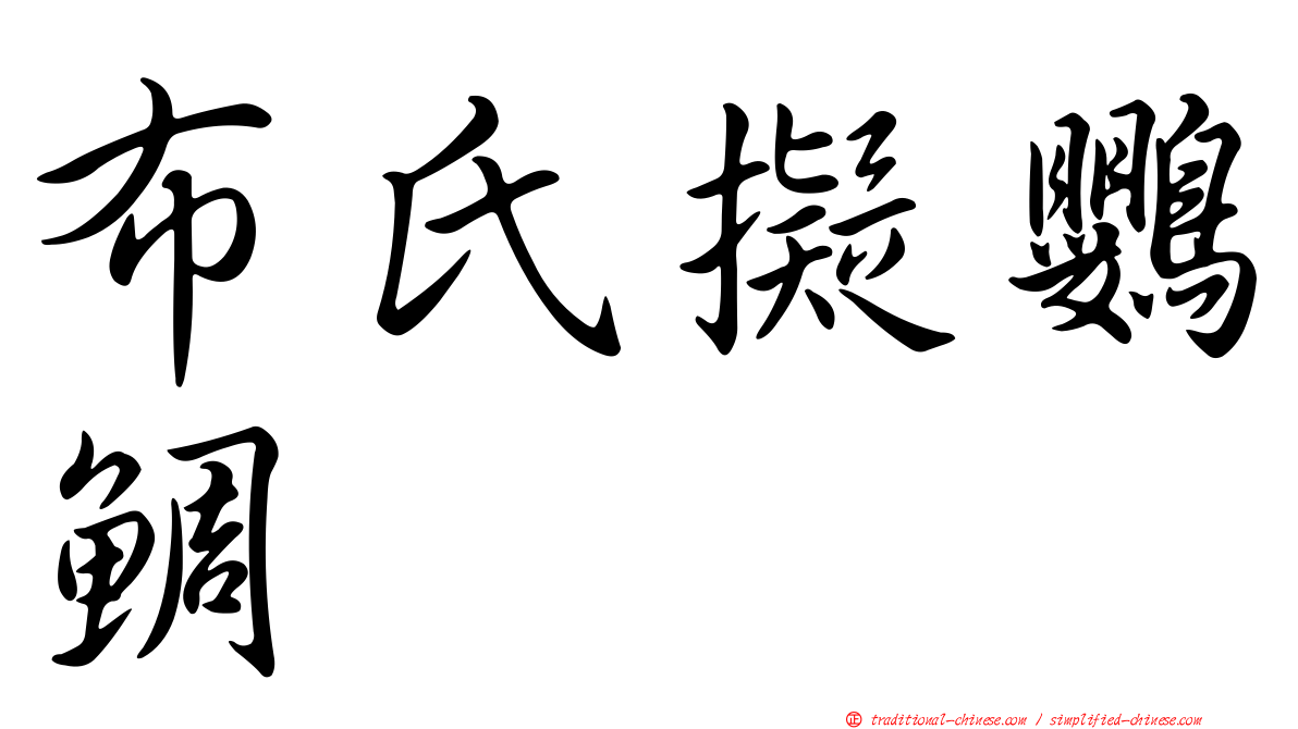 布氏擬鸚鯛
