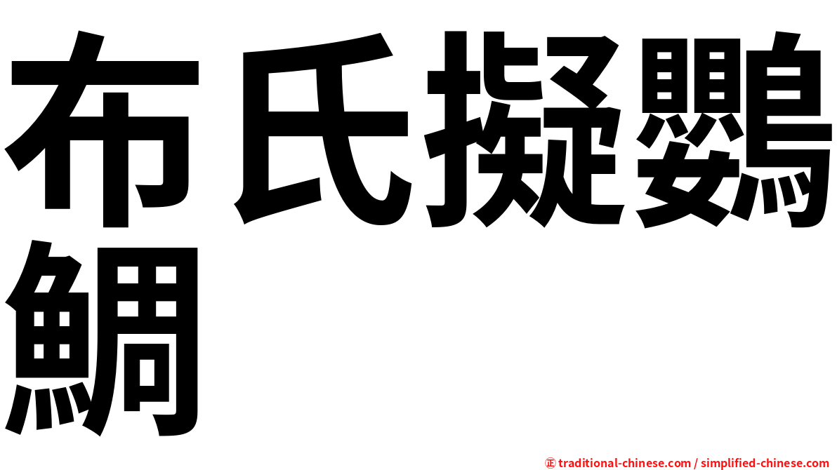 布氏擬鸚鯛