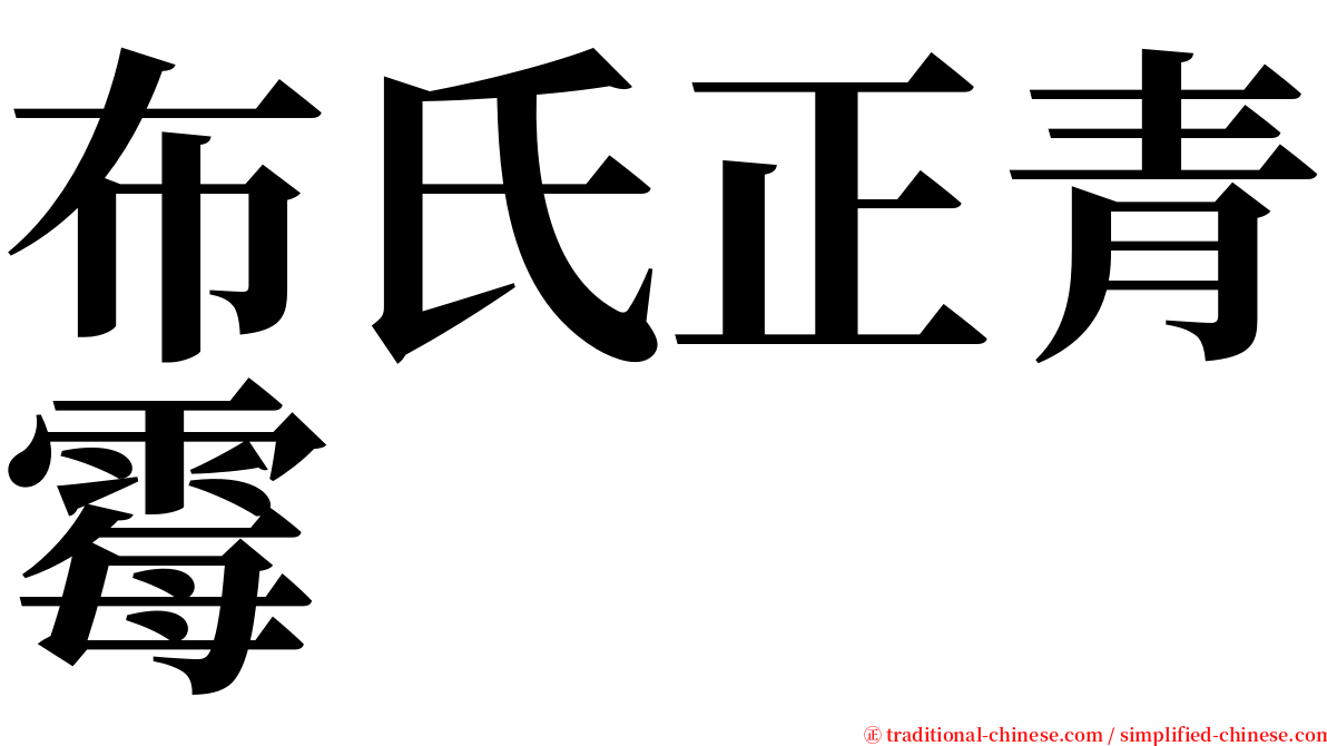 布氏正青霉 serif font