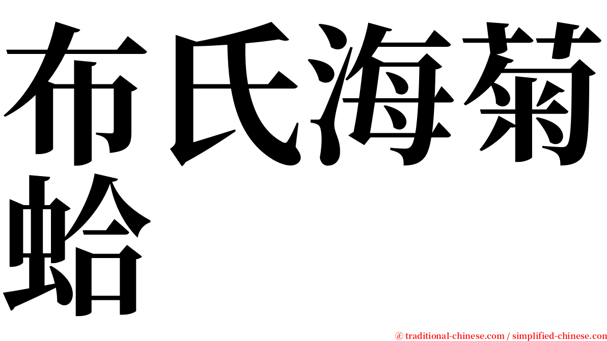 布氏海菊蛤 serif font