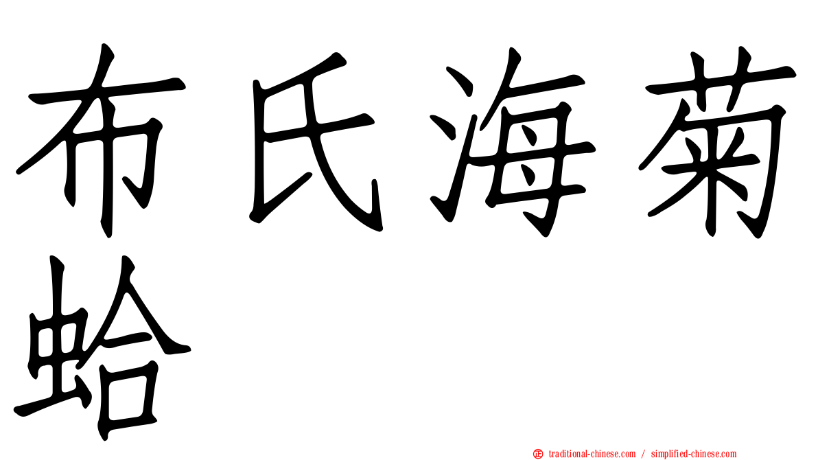 布氏海菊蛤