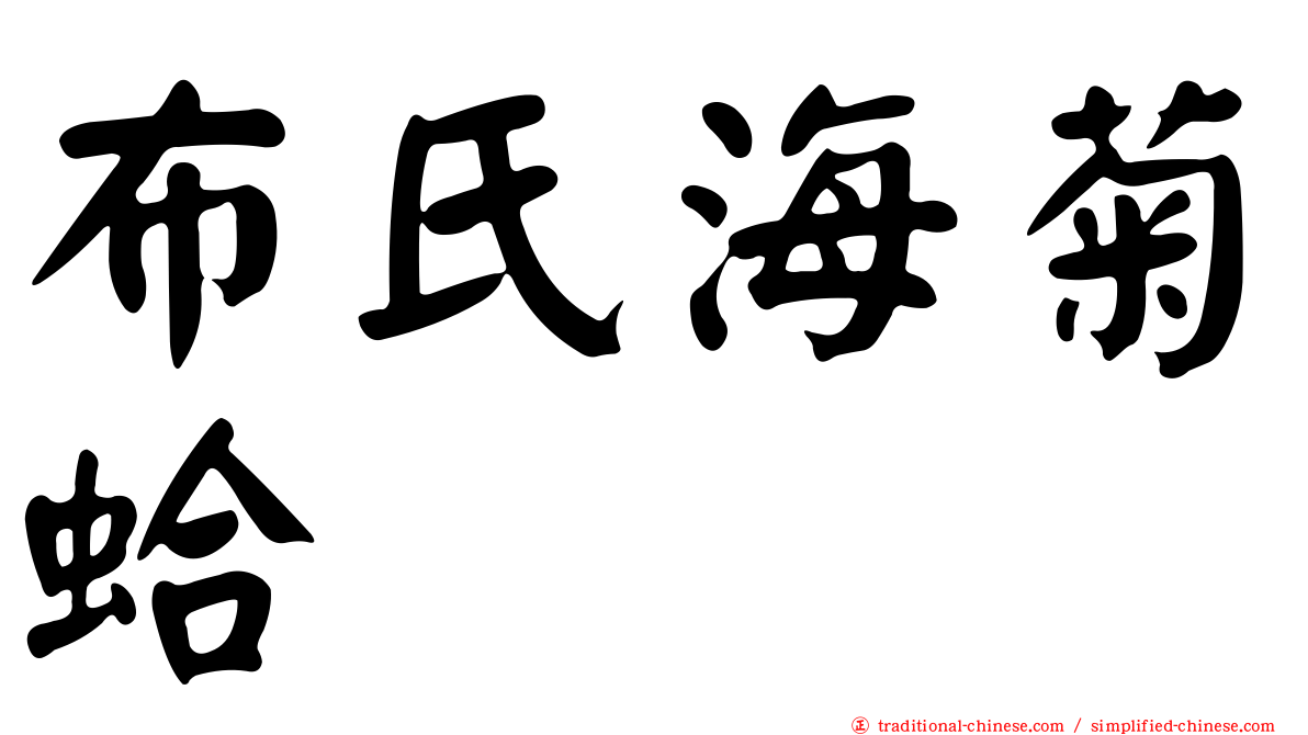 布氏海菊蛤